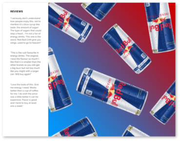 V8 Packaging Research Booklet10